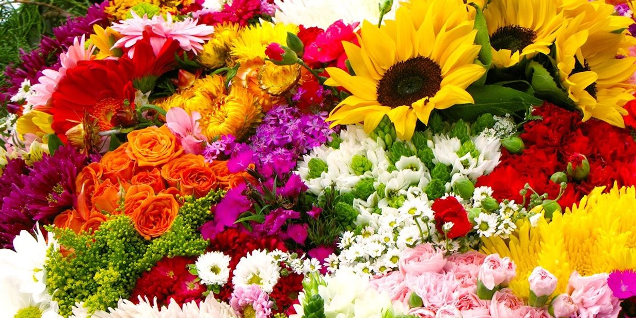 Flower Delivery Beverly Hills Flowers